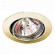 CLE Halogen Downlight Einbauleuchte 3830 50W messing