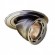 CLE Halogen Einbauleuchte  MR16CG Modo 50W gold
