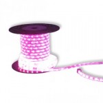 CLE LED RGB Schlauch SMD LEDs 24V 20m