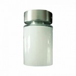 CLE Halogen Decken Aufbauleuchte GL80 40W chrom