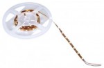 SLV FLEX LED STRIPS wei� 3 m 120 LED DC 24V