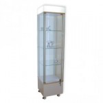 10 x Plenti Showcase inkl. LED P 2000 GLASVITRINE