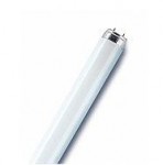 LEUCHTSTOFFLAMPE 36W LUMILUX INTERNA