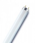 LEUCHTSTOFFLAMPE 36W BIOLUX