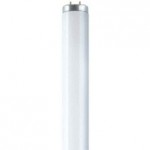 NL-T12 40W/25S/G13 NL-STANDARD T12