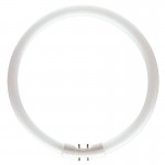 Philips TL5 CIRCULAR 22W/830 warmton T5 RINGFORM D:230mm