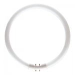 Philips TL5 CIRCULAR 40W/830 warmton T5 RINGFORM D:305mm