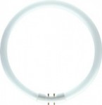 Philips TL5 CIRCULAR 55W/830 warmton T5 RINGFORM D:305mm
