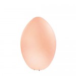 SOMPEX  Outdoorleuchte Eggy LED
