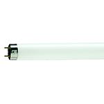 -- Ersatz -- Leuchtstofflampen 230V