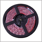 LED Module